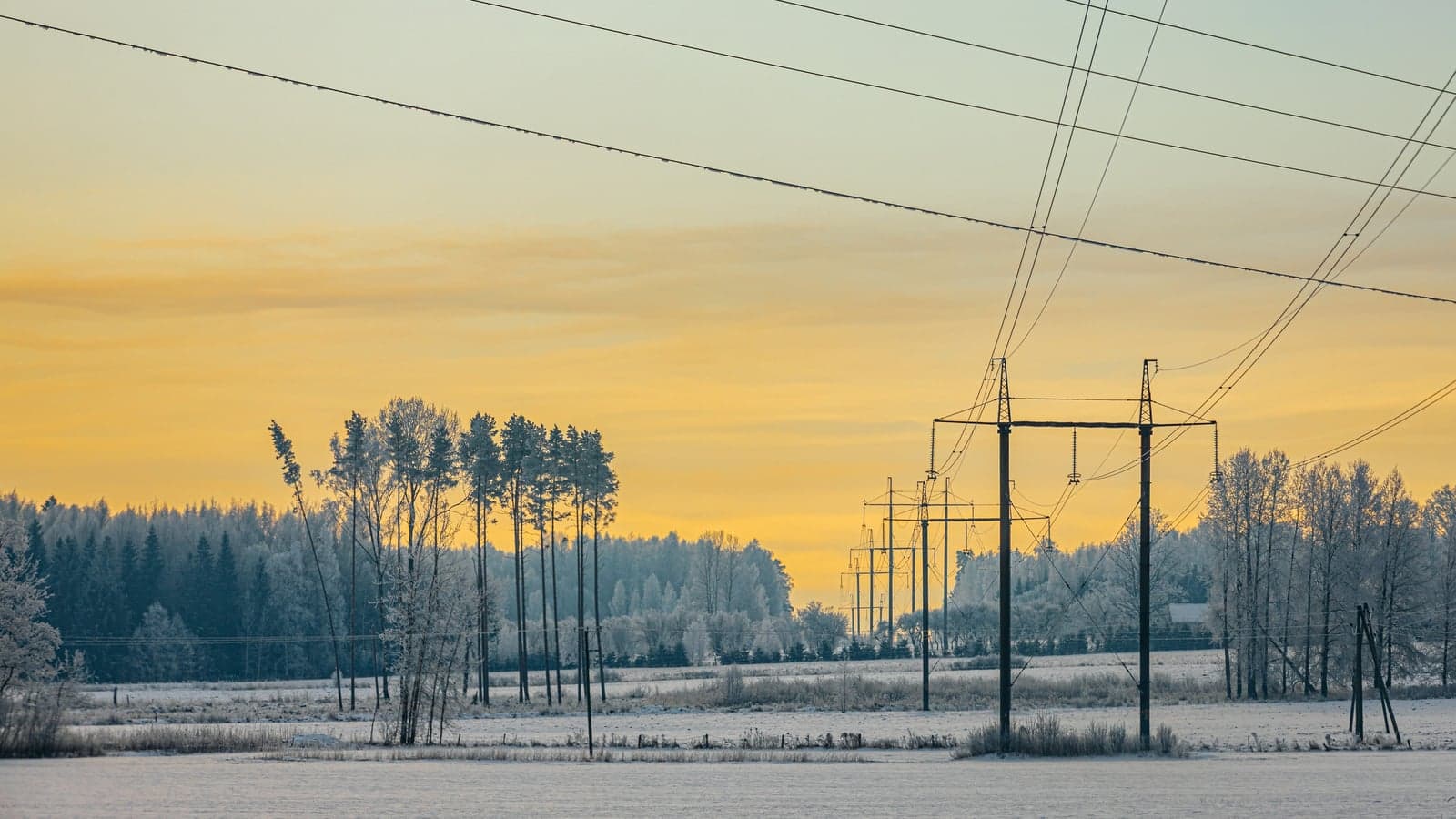 Why Europe's DSOs should start flexibility now