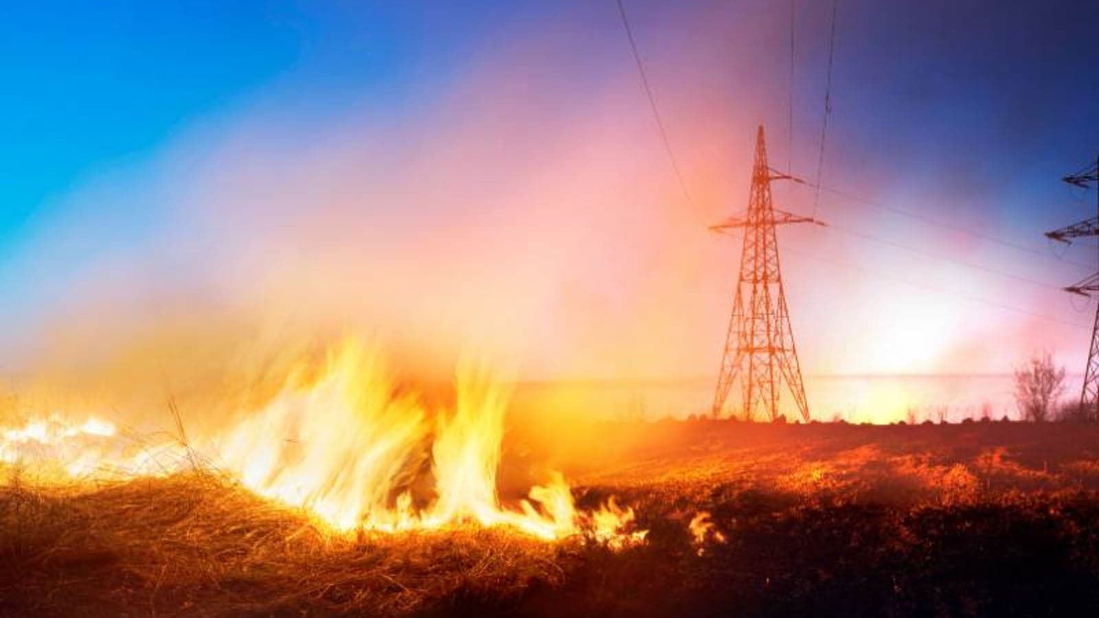 Vegetation management tops climate resilience in Europe
